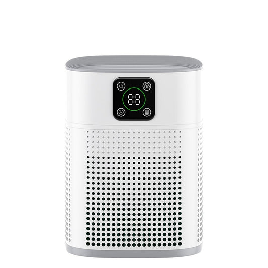 Portable Air Purifier